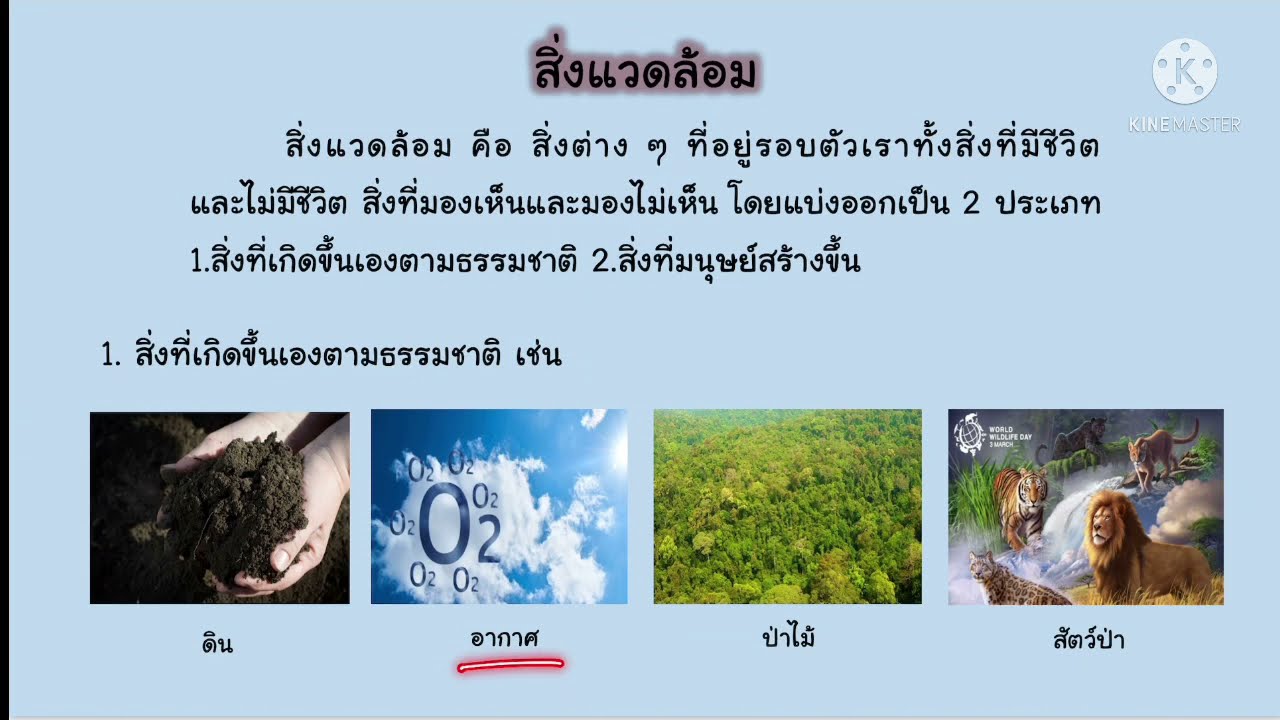 สิ่งแวดล้อม